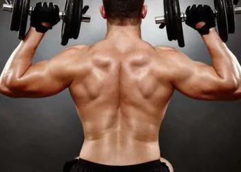 How to increase shoulder muscle?